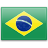 ברזיל - דגל